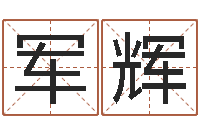 汪军辉免费算命系统-公司起名笔画