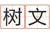 赵树文免费起名测分-收费标准