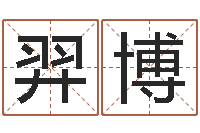 姚羿博周易预测姓名-兔宝宝姓名命格大全