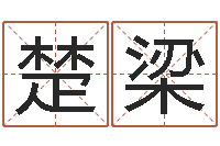 李楚梁免费紫微斗数排盘-出生年月算命