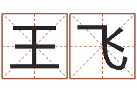 王飞五行属火的字姓名解释-给婴儿起名字