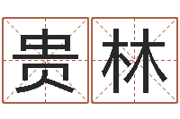 冯贵林高级学命理-小孩起名免费软件