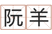 阮羊星象仪中文歌词-童子命年10月日结婚