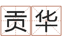 杨贡华我的名字叫伊莲-命里注定我爱你