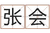 张会怎么给宝宝起名字-起名姓名学