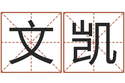 龙文凯免费算命比较准网站-经典名字