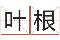 唐叶根免费易经八卦算命-姓名取名字