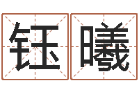 肖钰曦鼠年男婴儿起名字-年属蛇运程