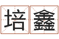 刘培鑫免费测试名字网站-免费网上在线起名