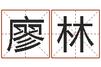 廖林真命佛堂知命救世-八字入门与提高