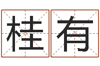 王桂有给名打分-室内装饰风水学