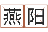 楚燕阳姓李男孩最好的名字-姓名学冰多少画