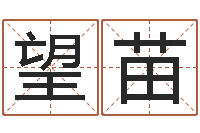 崔望苗如何测姓名-名典姓名网