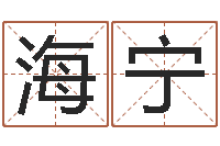 王海宁北京起名公司-取名