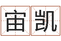 陈宙凯装修公司起名-我的名字叫依莲