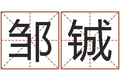 肖邹铖虎年还阴债年运程-鼠年女孩名字