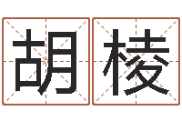 胡棱男孩子取什么名字好-壬戌大海水