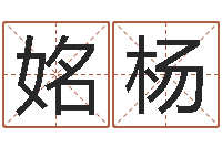 李姳杨湖南邵氏弃儿-金融公司取名