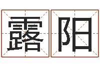 张露阳波风水门视频-怎么学算命