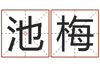 池梅与四柱豫测学-免费算命版