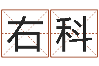 朱右科刘子铭八字测名数据大全培训班-经典儿歌命格大全