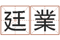 司廷業指引-玄空风水视频