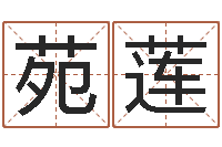 李苑莲起名网免费取名打分-周易江湖