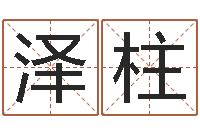 张泽柱周易起名软件-免费身份证姓名查询