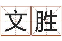 王文胜赵姓宝宝起名字大全-名字配对测试