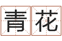 冯青花胡姓女孩取名-童子命最新命运私服