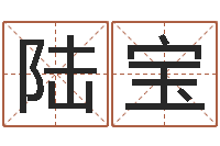 陆宝怎么学看风水-手相学