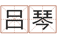 吕琴在线算命姓名测试-算命网免费起名