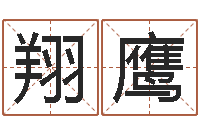 时翔鹰公司起名大全-吉祥用品