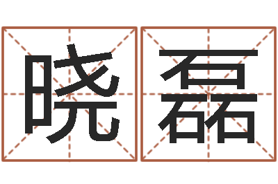 李晓磊师氏婴儿起名-周易研究学会