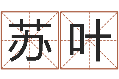 苏叶免费取名测字-属猴还阴债运程预测