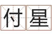 高付星择日改名软件-电脑免费给宝宝起名