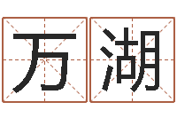 付万湖兔年宝宝姓名命格大全-信访学习班