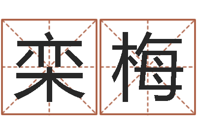 栾梅沈姓宝宝取名-具体断六爻讲义