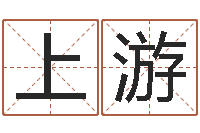 邹上游还受生钱年运势属鸡-公司取什么名字好