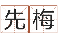 刘先梅风水大师算命-鼠宝宝取名字姓丁