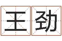 王翟劲属猪兔年运程-八字命局资料