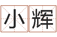 陈小辉网上在线算命-东方预测四柱预测印图