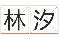 林林汐免费线上算命-在线八字算命准的命格大全