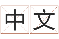 宁中文网络公司名字-四柱八字婚姻合不合