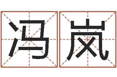 冯岚有限公司取名-在线取名软件
