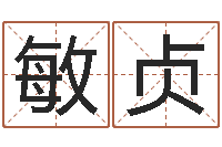 丁敏贞堪舆精论-作家