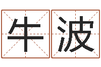 牛波五行算命生辰八字-免费查公司取名吉祥