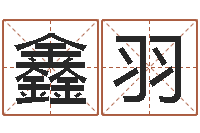 蒋鑫羽著作资料下载-男女姓名笔画配对