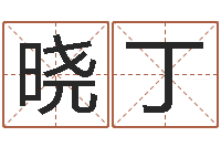 张晓丁起名字经典名字-哈尔滨风水起名