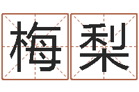 王梅梨星座英文名字-如何起姓名